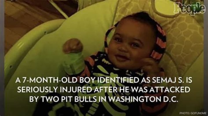 
7-Month-Old Boy ‘Fighting for His Life’ After Being Mauled by Pit Bulls 