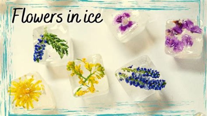 Can you freeze flowers?