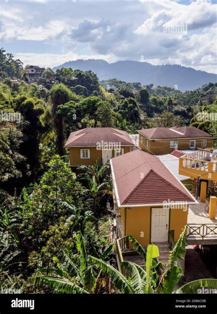 Celebrities Born In Saint Andrew Parish, Jamaica