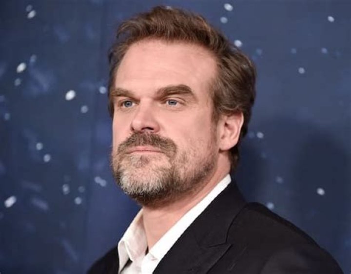 David Harbour Bio (Wiki) 