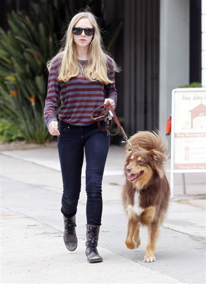 Did Josh Hartnett dump “super clingy girlfriend” Amanda Seyfried?