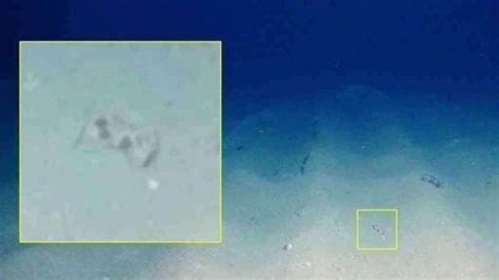 Did the Logitech controller survive?