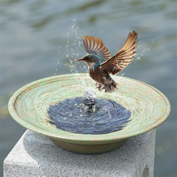 Do birds like fountain bird baths?