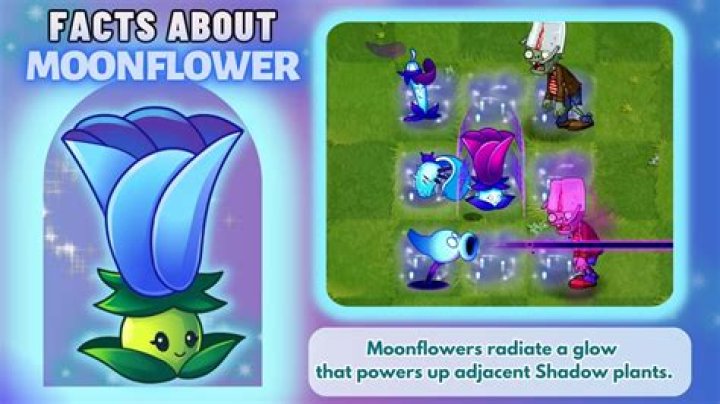 Do moonflowers have a scent?