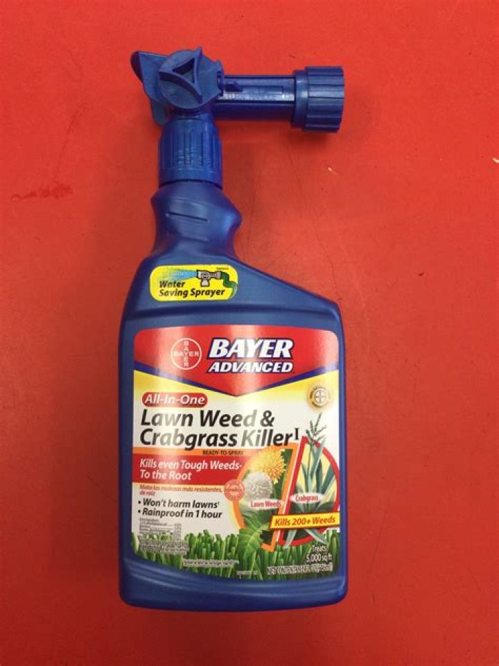 Does Bayer Brush Killer kill grass?