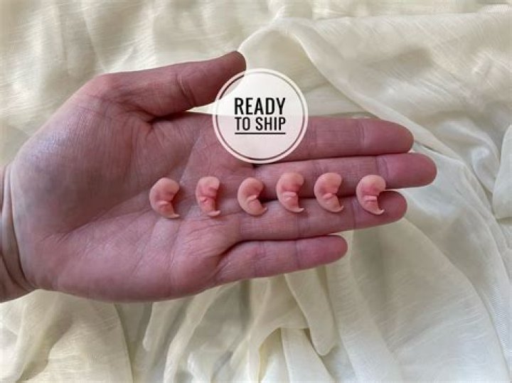 Duggar family shares pics at miscarried baby’s memorial showing her tiny hands & feet