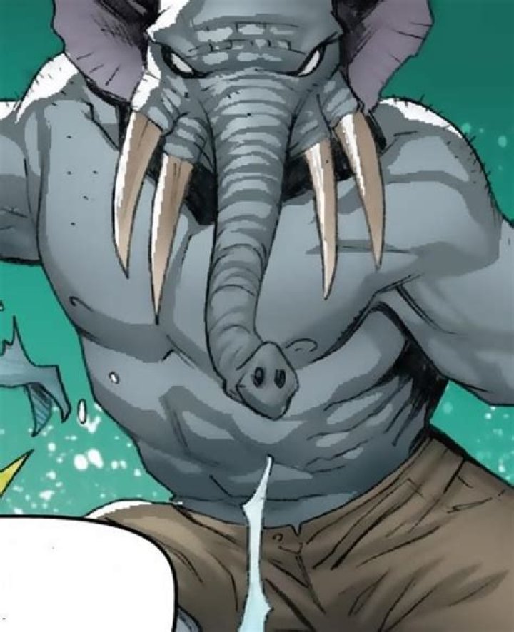 Elephant Man Bio (Wiki) 