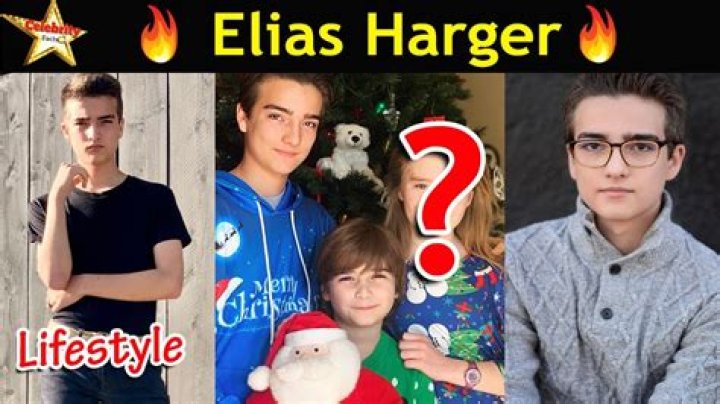 Elias Harger - Age, Family, Bio