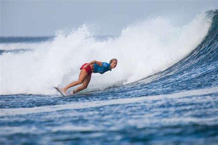 Holly Hamilton Bio (Wiki) 