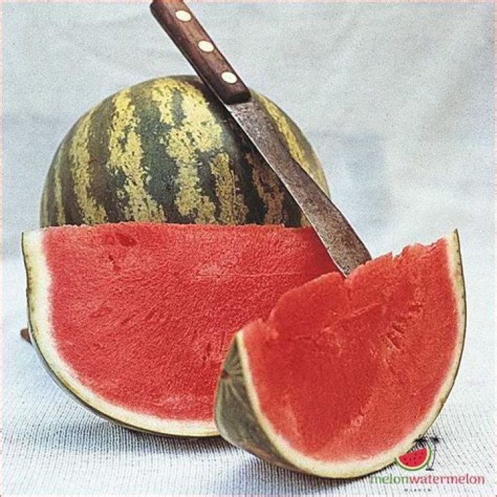 How big do Crimson Sweet watermelons get?