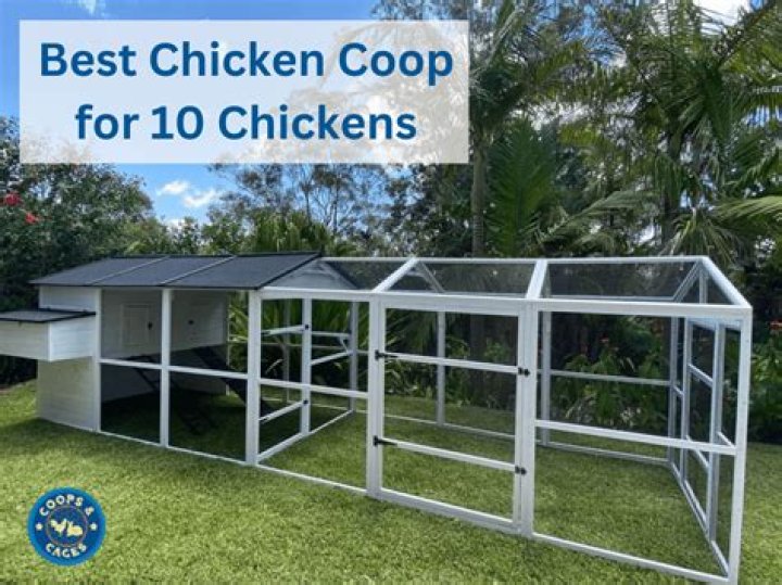 How big of a chicken coop do I need for 10 chickens?