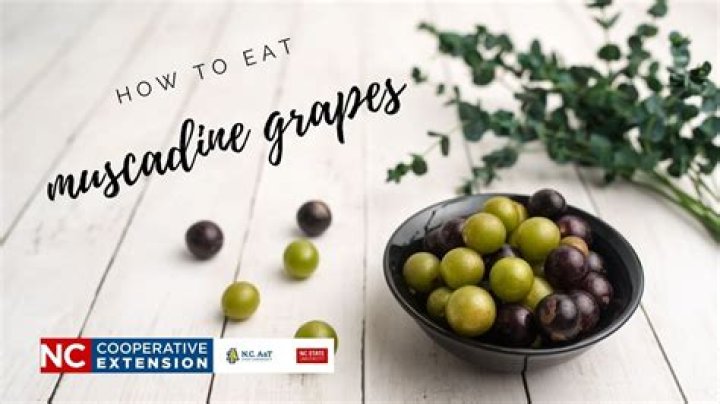 How do you eat muscadine bronze grapes?