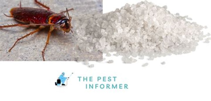 How does Epsom salt kill slugs?