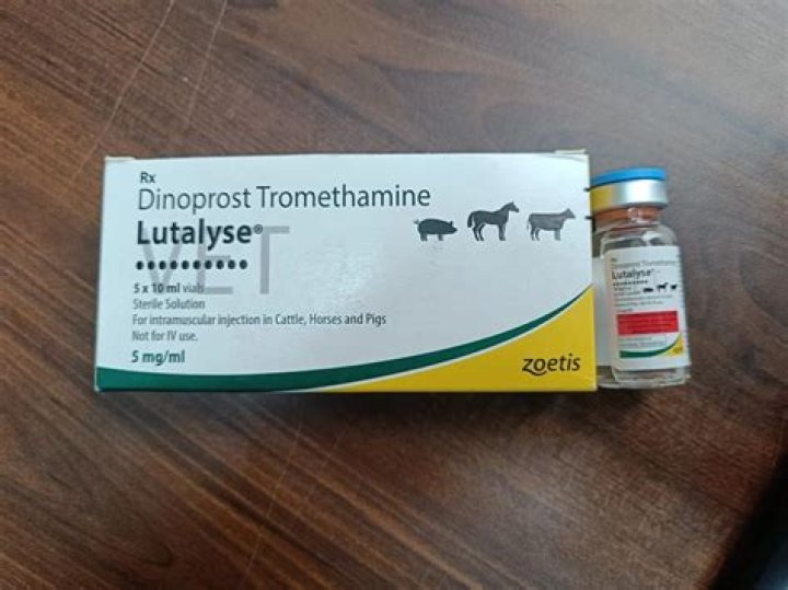 How much Lutalyse do you give a dog?