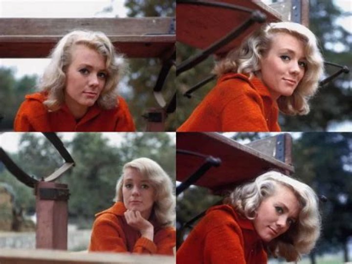 Inger Stevens - Trivia, Family, Bio