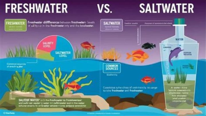 Is the James Bay freshwater or saltwater?