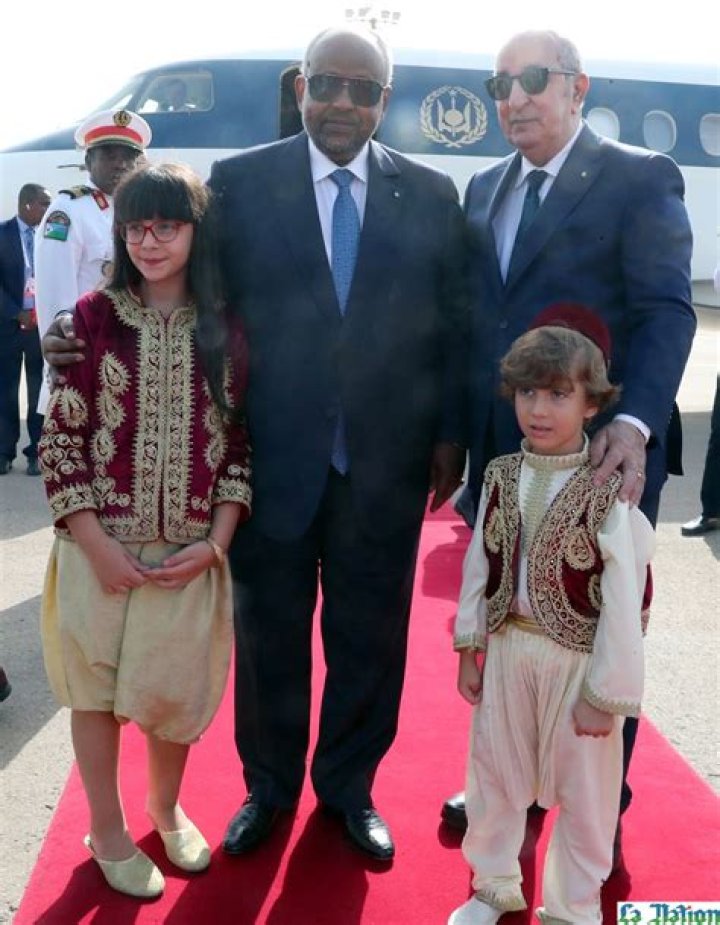 Ismail Omar Guelleh - Age, Family, Bio