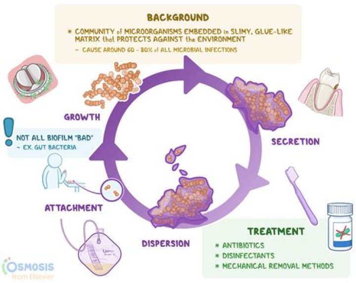 Justin Foley Bio (Wiki) 