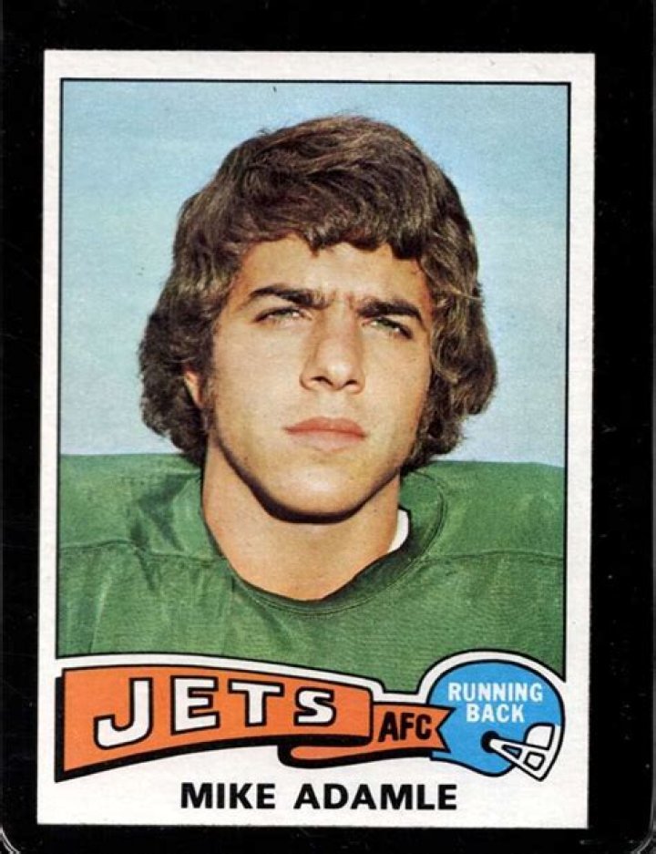 Mike Adamle - Age, Family, Bio