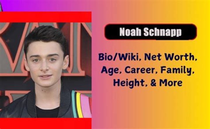 Noah Schnapp Net Worth, Age, Girlfriend, Family, Biography & More