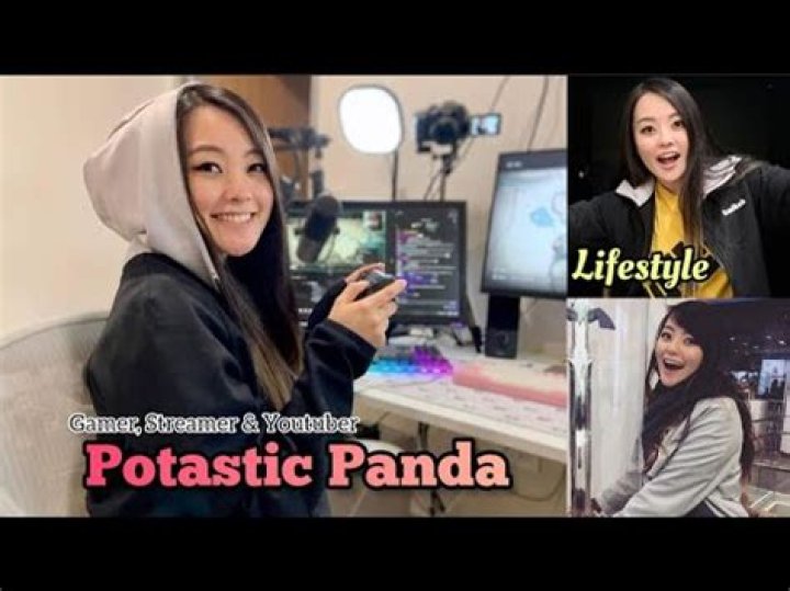 Potastic Panda - Age, Family, Bio