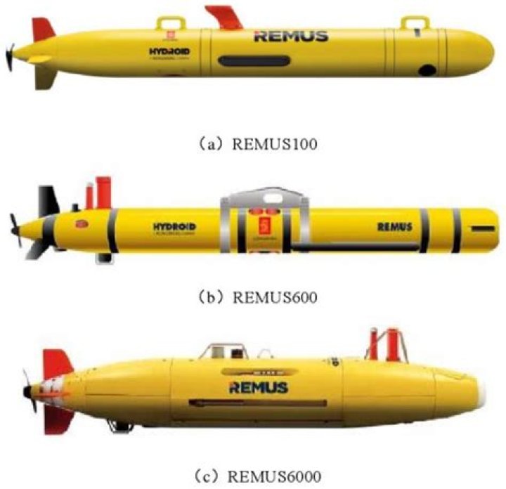 Remus Bujor - Age, Family, Bio