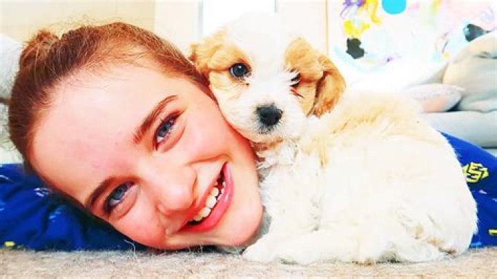 Sabre Norris Pets - Celebrity Pets