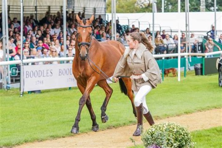 Sophia Hill Bio (Wiki) 