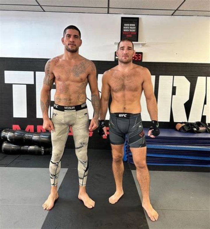 Tom Teixeira Height, Weight, Net Worth, Age, Birthday, Wikipedia, Who, Instagram, Biography