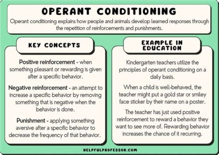 What are some examples of operant conditioning in the classroom?