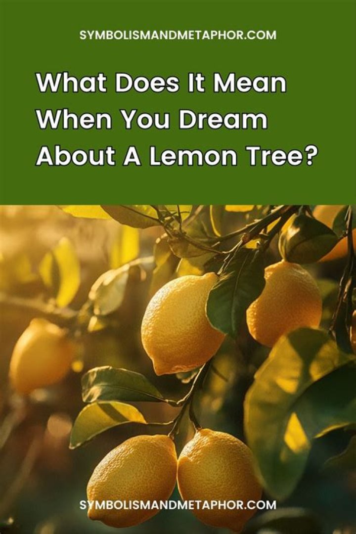 What does a lemon tree symbolize?