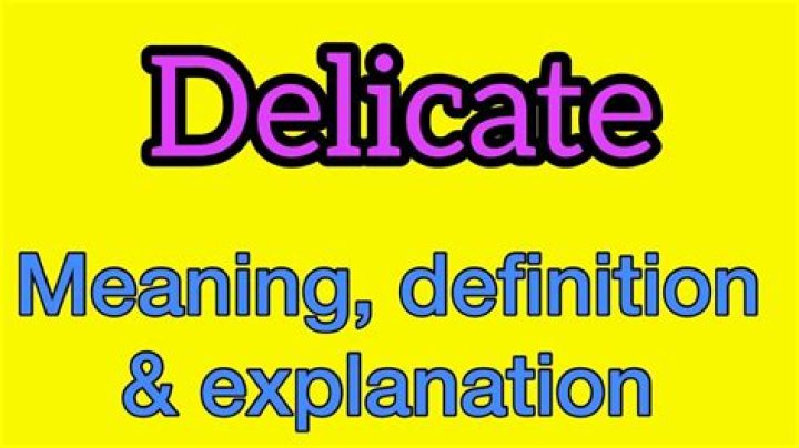 What does delicate dryer setting mean?