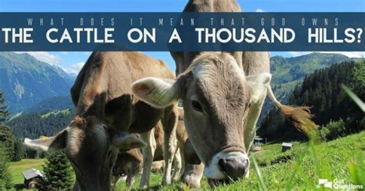 What does it mean that God owns the cattle on a thousand hills?