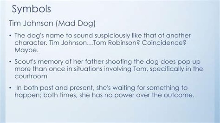 What does Tim Johnson The Mad Dog symbolize?