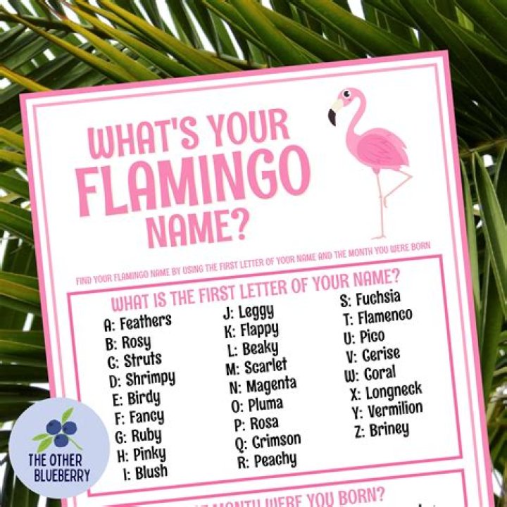 What is a pink flamingo party?