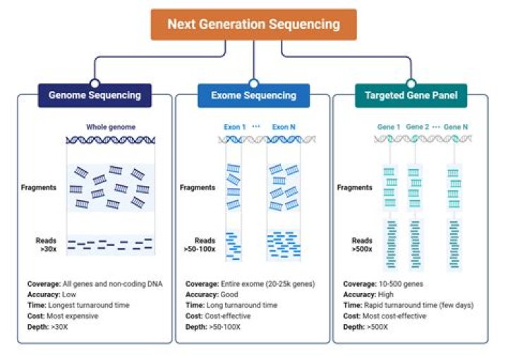 What is a proband genetics?