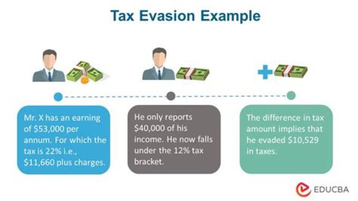 What is a tax position?