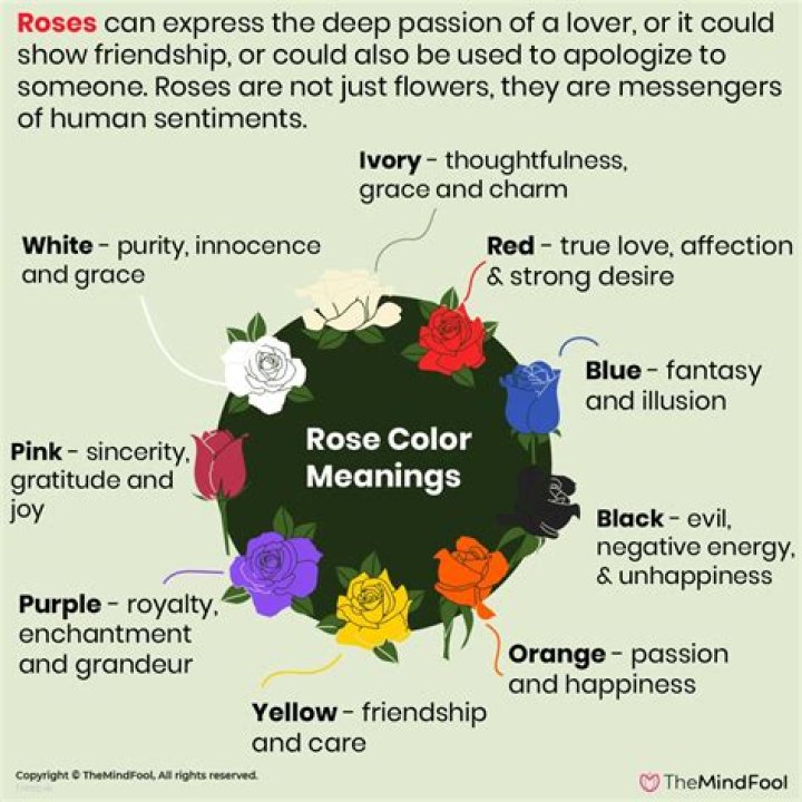 What is the meaning of the Rose of Sharon?