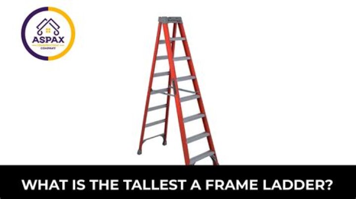 What is the tallest step ladder you can buy?
