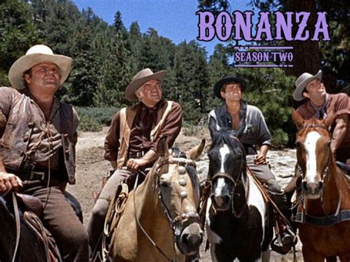 Who played the father on Bonanza?