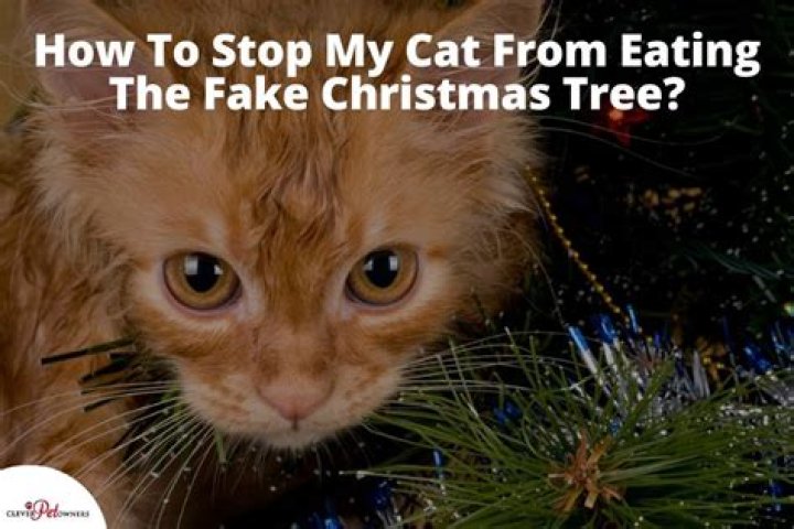 Why is my cat eating my fake Christmas tree?