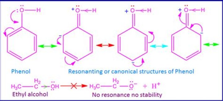 Why is phenol more soluble than alcohol?